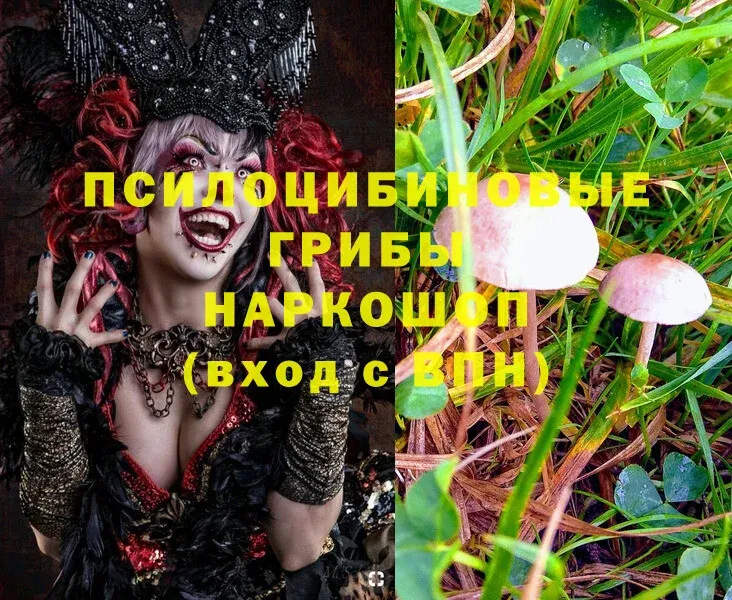 гидра маркетплейс  Демидов  Псилоцибиновые грибы MAGIC MUSHROOMS 